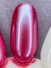 Image 3 of I’m Ron Burgundy?