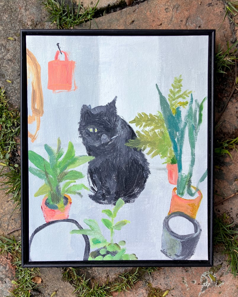 Image of Julia, The one eyed cat at the Garden Centre 