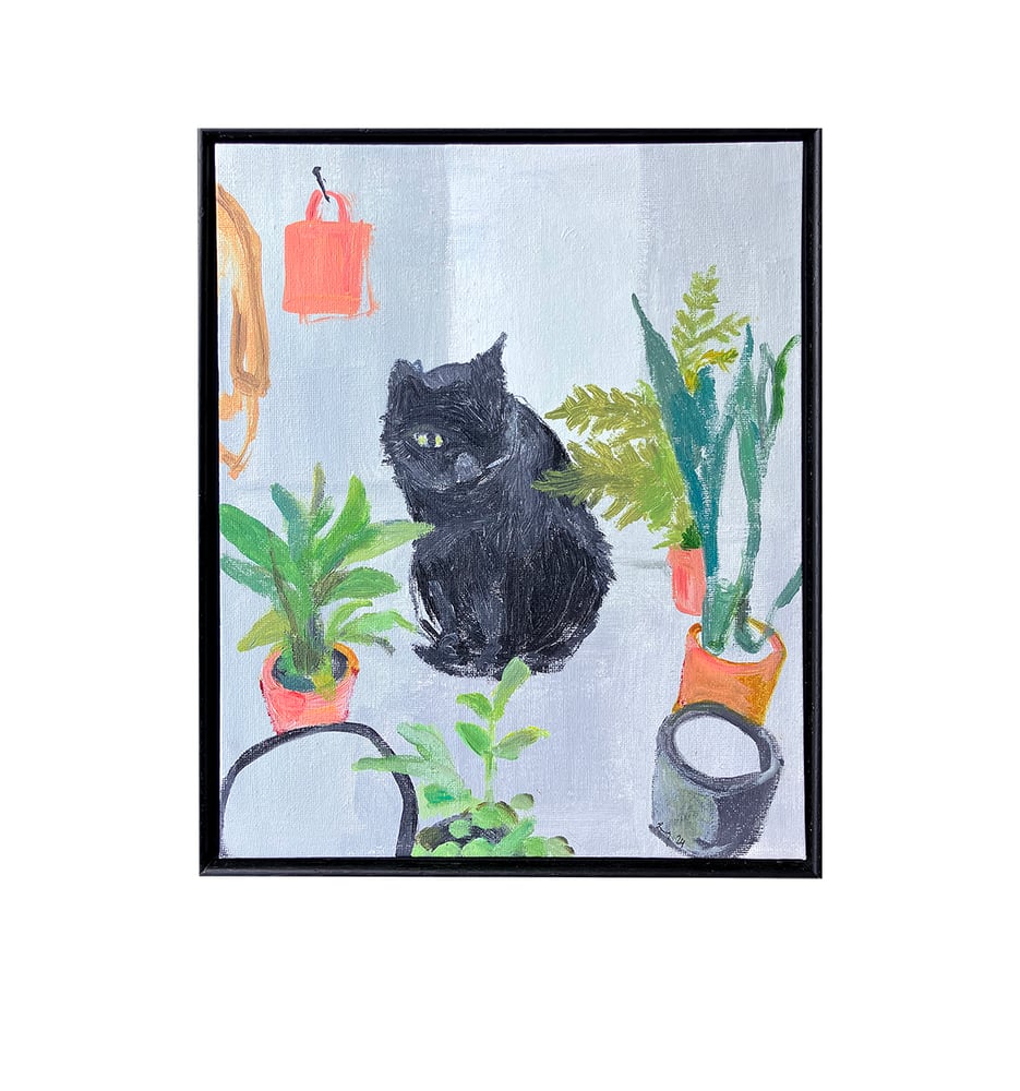 Image of Julia, The one eyed cat at the Garden Centre 