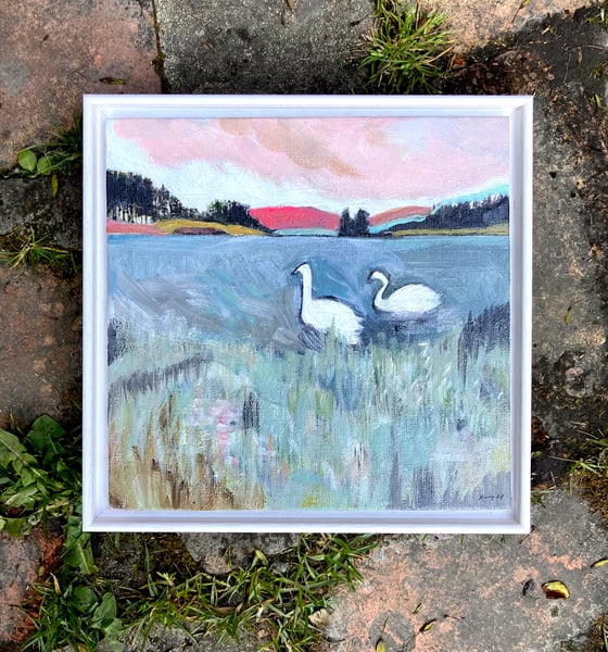 Image of Swans