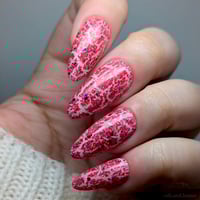 Image 8 of Summer Salute