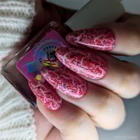 Image 11 of Summer Salute