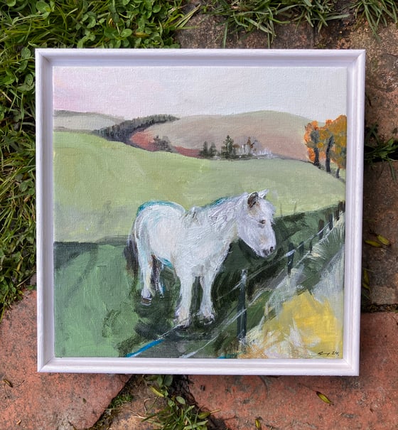 Image of Pony