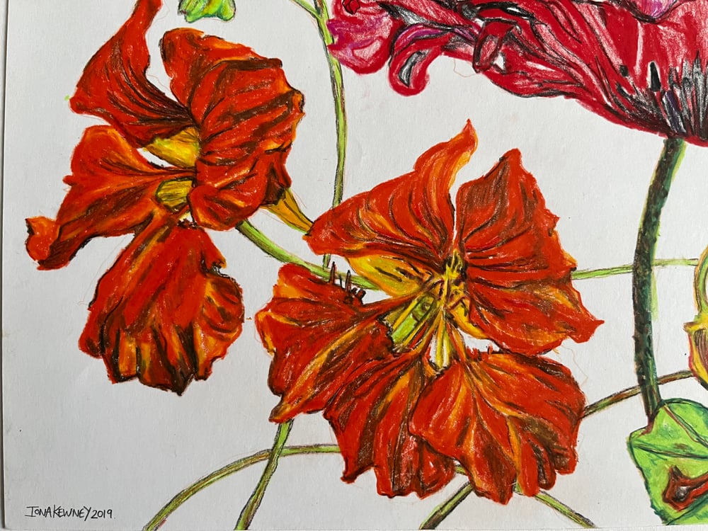 Anatomical flowers