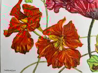 Image 2 of Anatomical flowers 