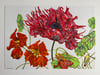 Anatomical flowers 