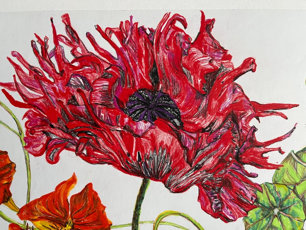 Anatomical flowers 
