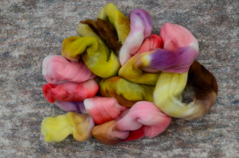 Image of "Bright Morning" Organic Polwarth Spinning Fiber - 4 oz.