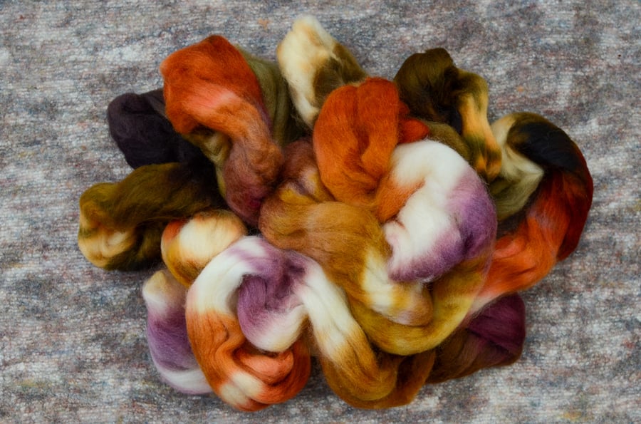 Image of "Going Camping" Bluefaced Leicester Wool Spinning Fiber - 4 oz.