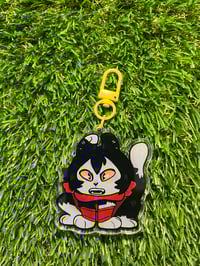 Cat Izutsumi
