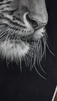 Image 3 of Original art “Poise before the pounce” 2025