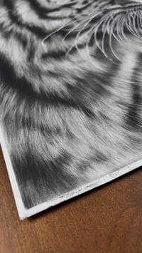 Image 5 of Original art “Poise before the pounce” 2025