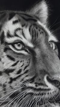 Image 4 of Original art “Poise before the pounce” 2025