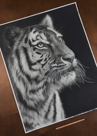 Image 2 of Original art “Poise before the pounce” 2025