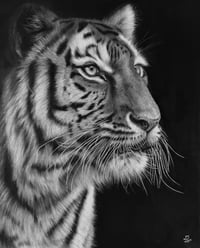 Image 1 of Original art “Poise before the pounce” 2025