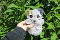 Image 1 of Mini kitty 🧶🪡🐾