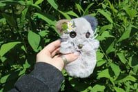 Image 3 of Mini kitty 🧶🪡🐾