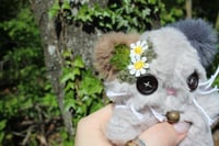 Image 4 of Mini kitty 🧶🪡🐾