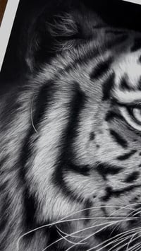 Image 4 of Giclee print “Poise before the pounce” 2025