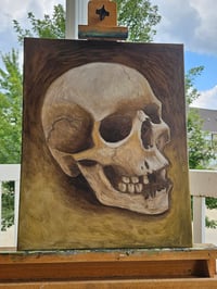Image 1 of Skull study