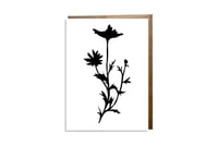 Daisy Card