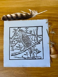 Image 1 of Red Shouldered Hawk Lino Cut Print 