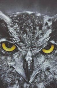 Image 3 of Giclee print “Prowler of the night” 2022