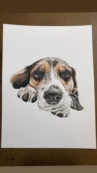 Image 2 of Portrait Commission 