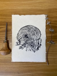 Image 1 of American Kestrel Portrait Lino Cut 