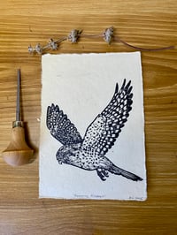 Image 1 of Hovering American Kestrel Lino Cut Print 