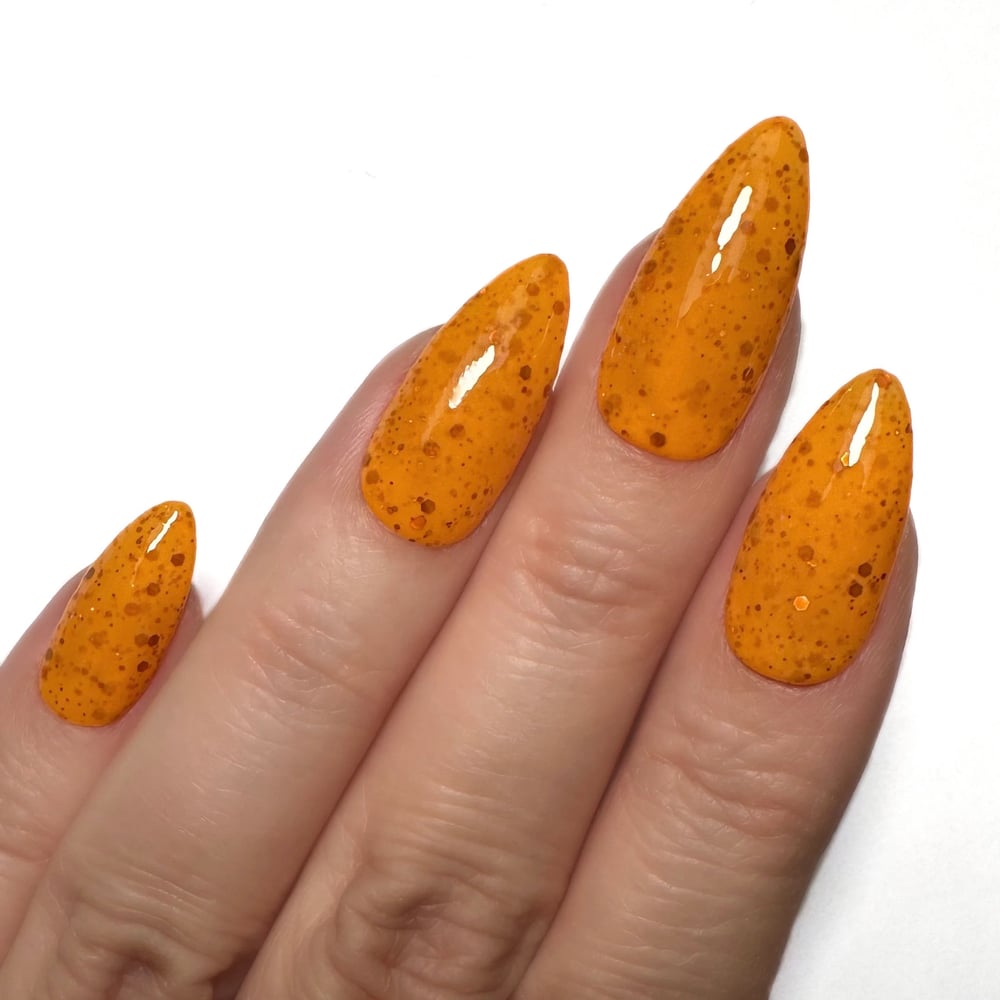 Image of Autumn Harvest