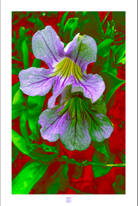 Image 1 of TURNING PURPL(36X24)