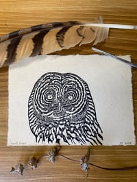 Image 2 of Great Gray Owl Portrait Lino Cut Print 