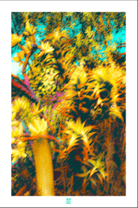 Image 1 of WELCOMING THE SUN (36X24)