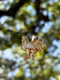 Icy Gallo