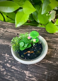 Image 2 of Miniature Koi Pond: Black Sand and Tourmaline