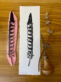 Image 2 of American Kestrel Primary Feather 