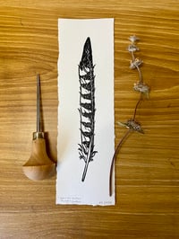 Image 1 of American Kestrel Primary Feather 