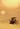This Isn't Zzyzx Is It?