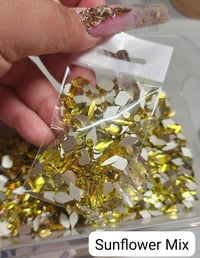 Image 1 of Bling Scoop ( By Color)