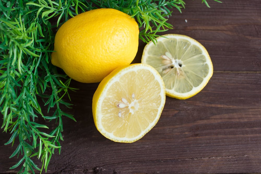 Image of IAOMAI Lemon & Rosemary Specialty Beauty Bar