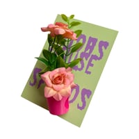 Image 7 of FHOS - Pot Plants