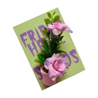 Image 2 of FHOS - Pot Plants