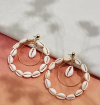 Shell Drop  Earrings