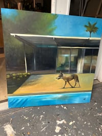 Image 2 of Coyote by the Pool