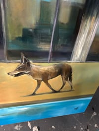 Image 3 of Coyote by the Pool