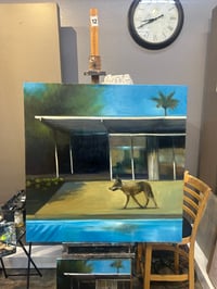 Image 5 of Coyote by the Pool