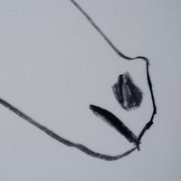 Image 4 of Horse