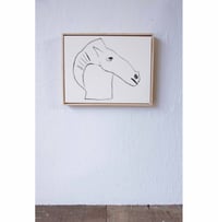 Image 1 of Horse