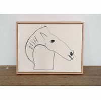 Image 5 of Horse